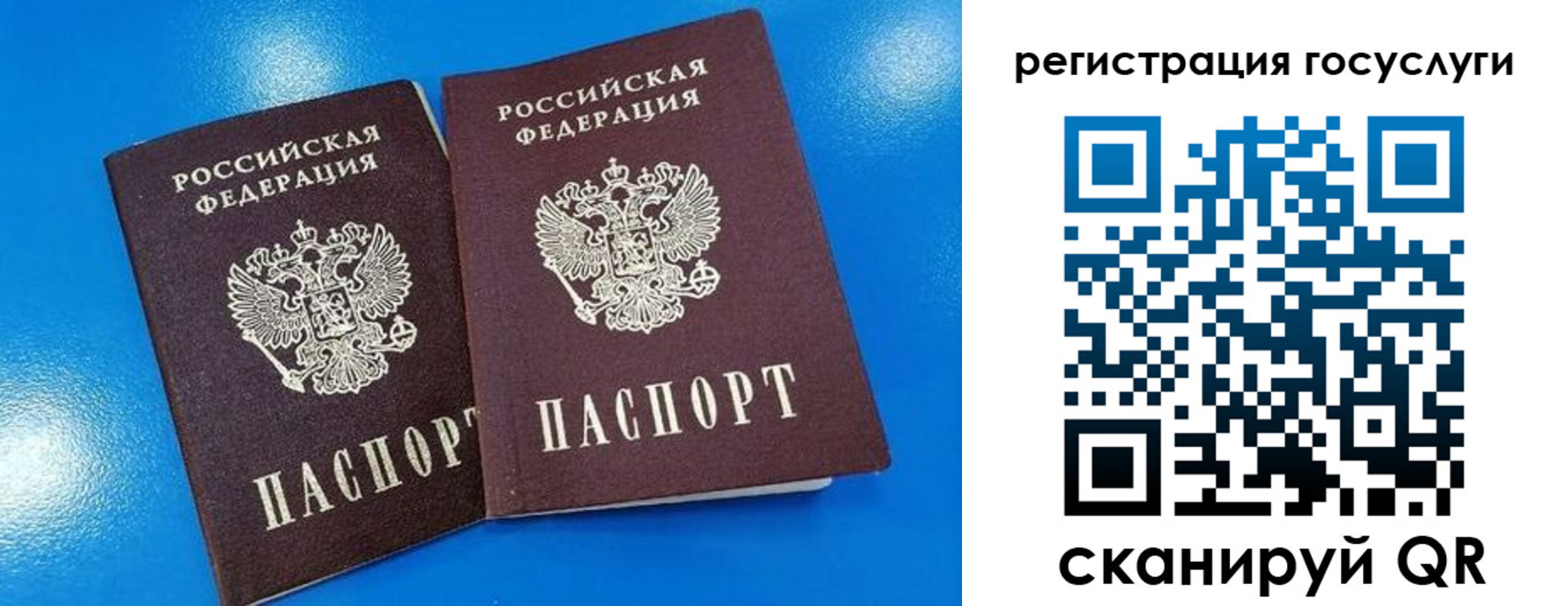 регистрация в Щиграх